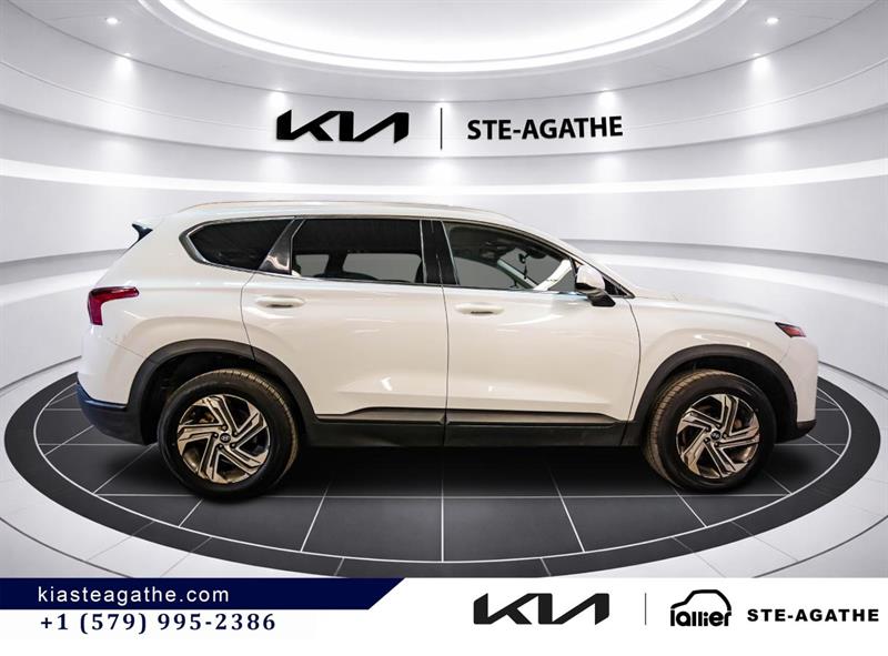 hyundai Santa Fe 2021 - 8