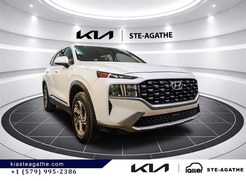 hyundai Santa Fe 2021 - 9