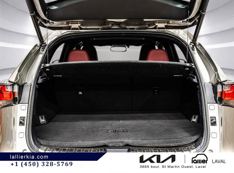 lexus NX 200t 2017 - 12