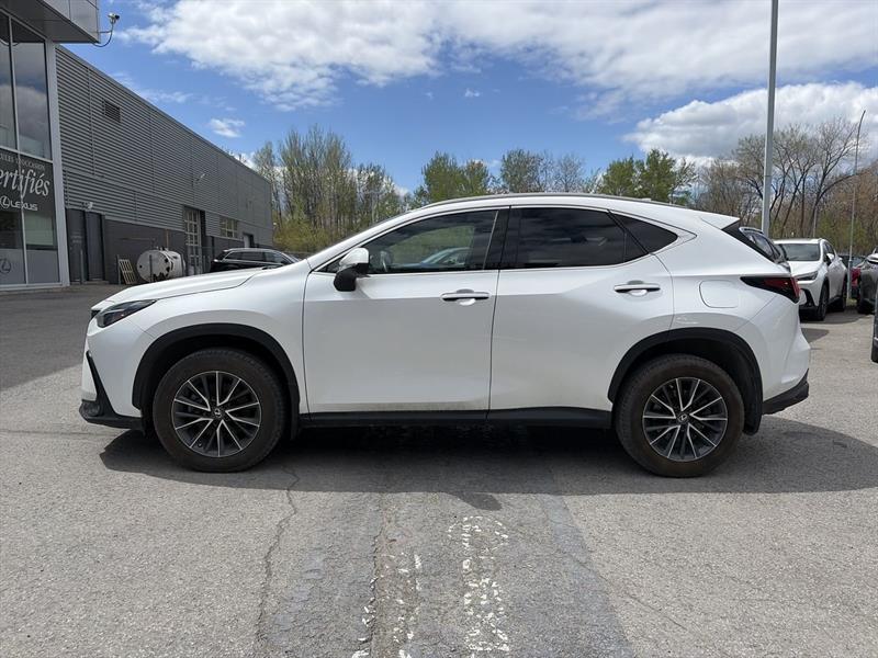 lexus NX 2022 - 8