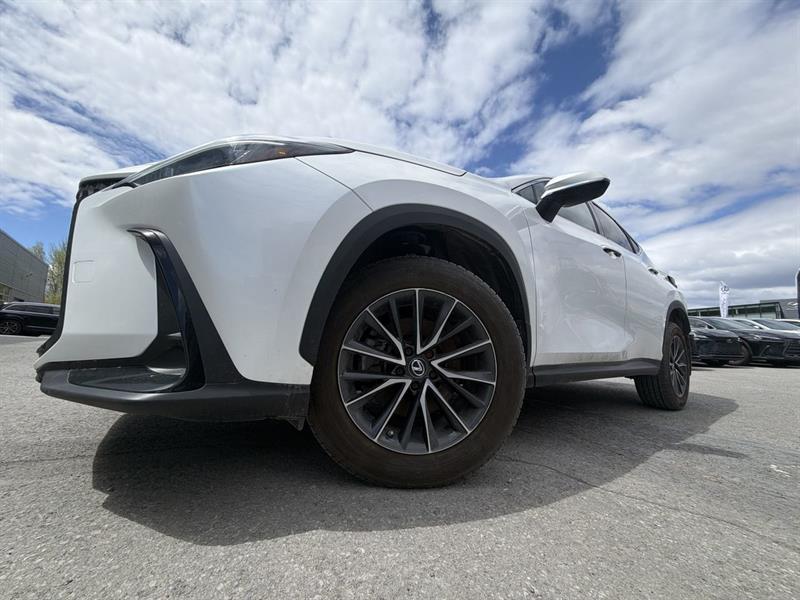 lexus NX 2022 - 18