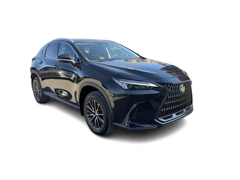 lexus NX 2022 - 2