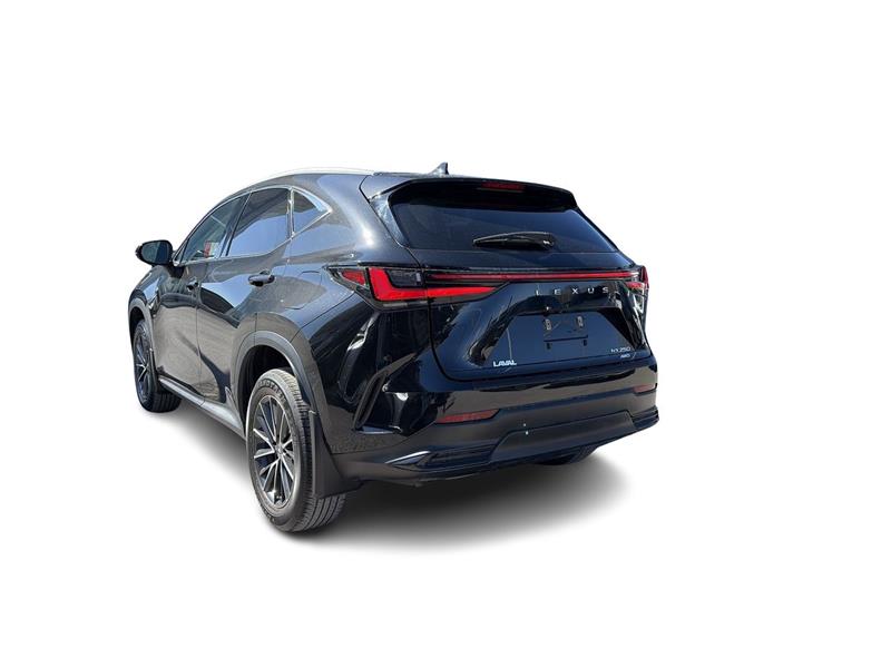 lexus NX 2022 - 11