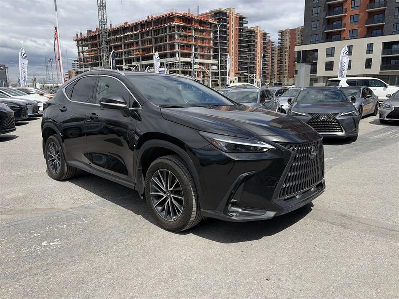 lexus NX 2024 - 2