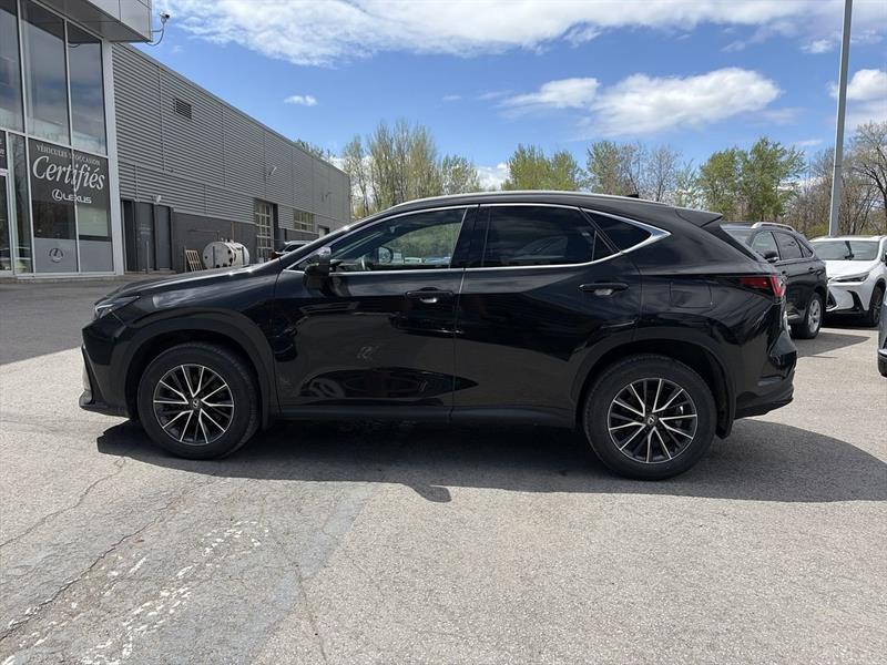 lexus NX 2024 - 8