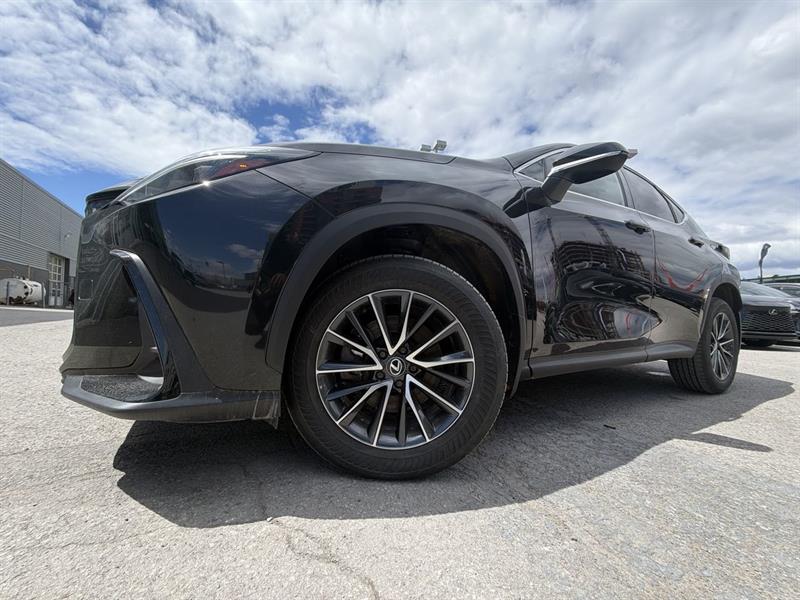 lexus NX 2024 - 18