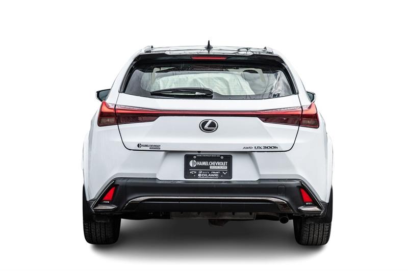 lexus UX 2025 - 8