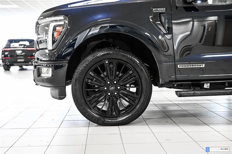 ford F-150 2025 - 12
