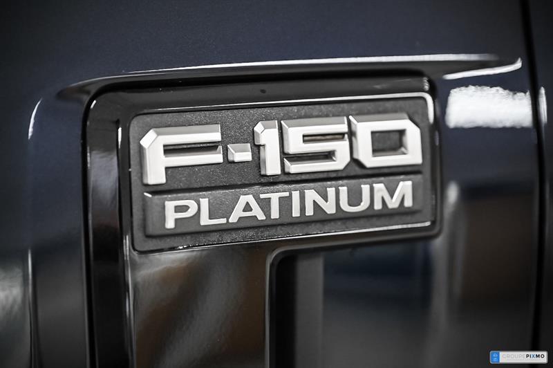 ford F-150 2025 - 14