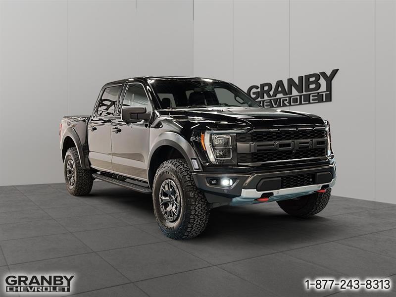 ford F-150 2021 - 3