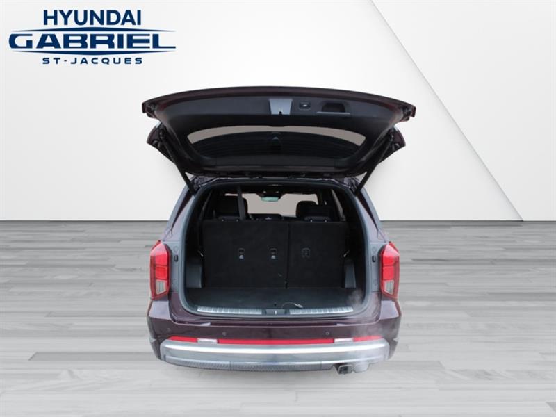 hyundai Palisade 2024 - 6