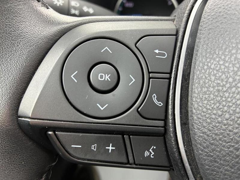 toyota RAV4 Hybrid 2022 - 22