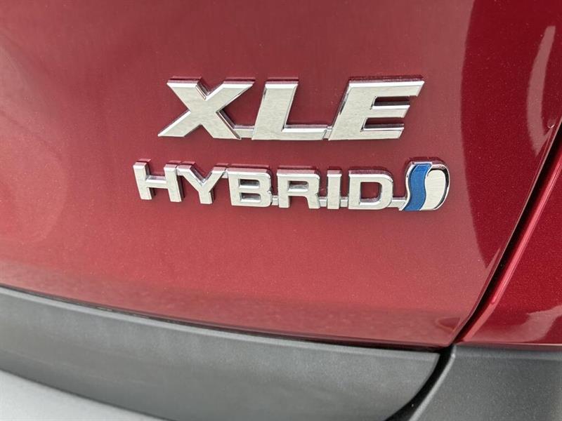 toyota RAV4 Hybrid 2019 - 14