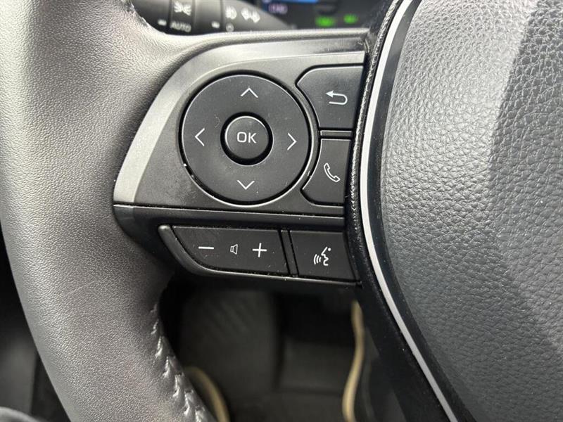 toyota RAV4 Hybrid 2019 - 25