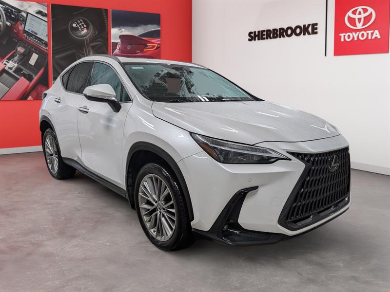 lexus NX 350 2022 - 2
