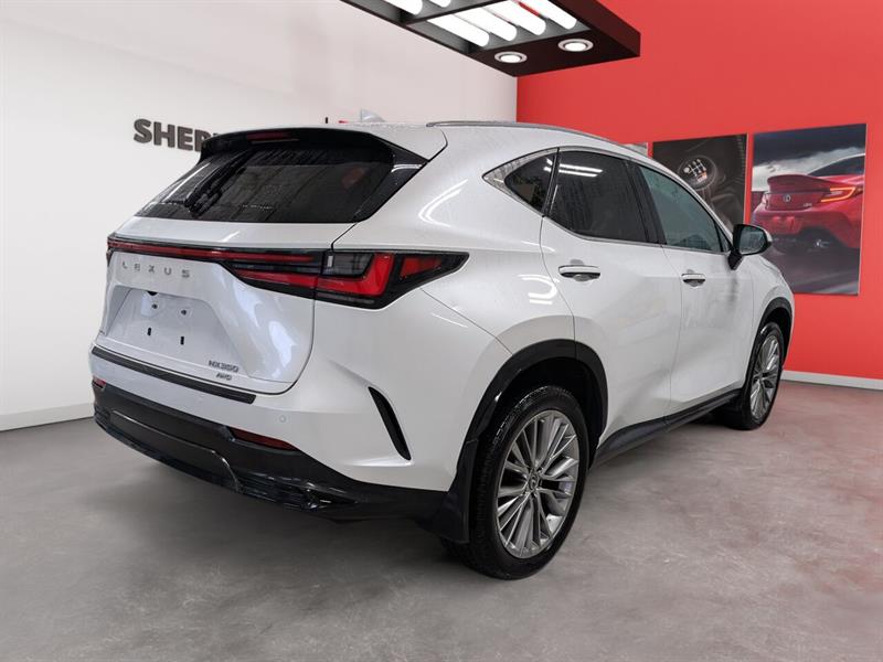 lexus NX 350 2022 - 3