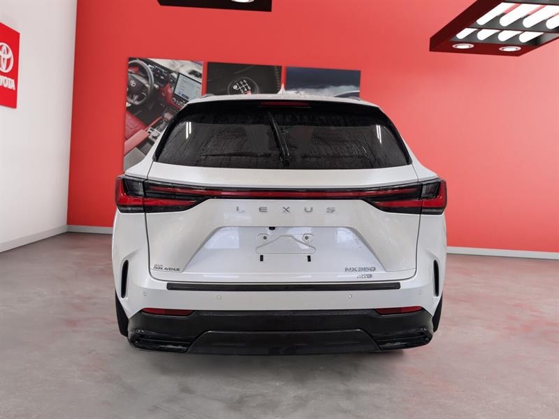 lexus NX 350 2022 - 4