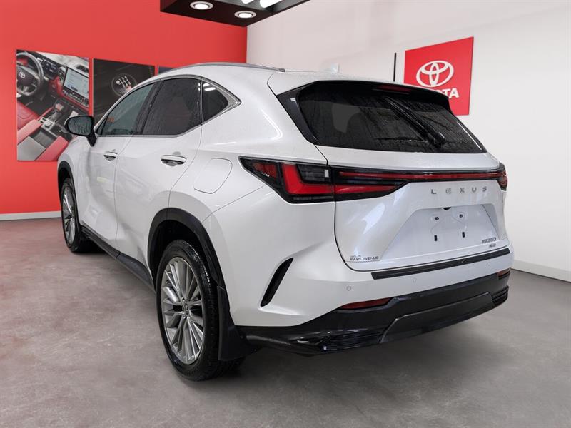 lexus NX 350 2022 - 5