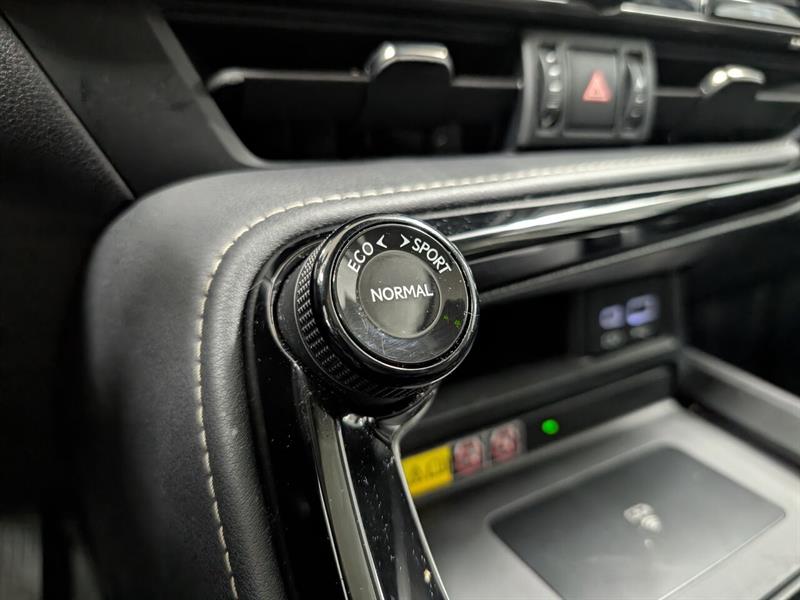 lexus NX 350 2022 - 20