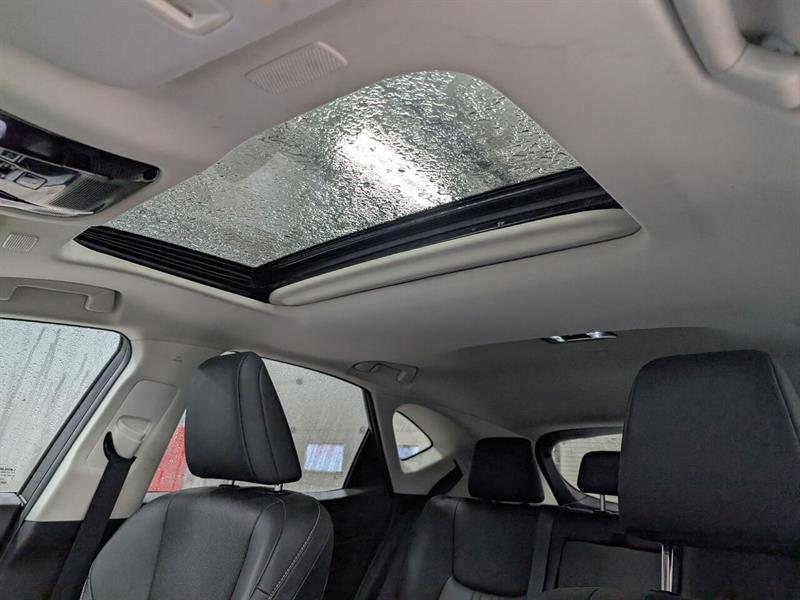 lexus NX 350 2022 - 23