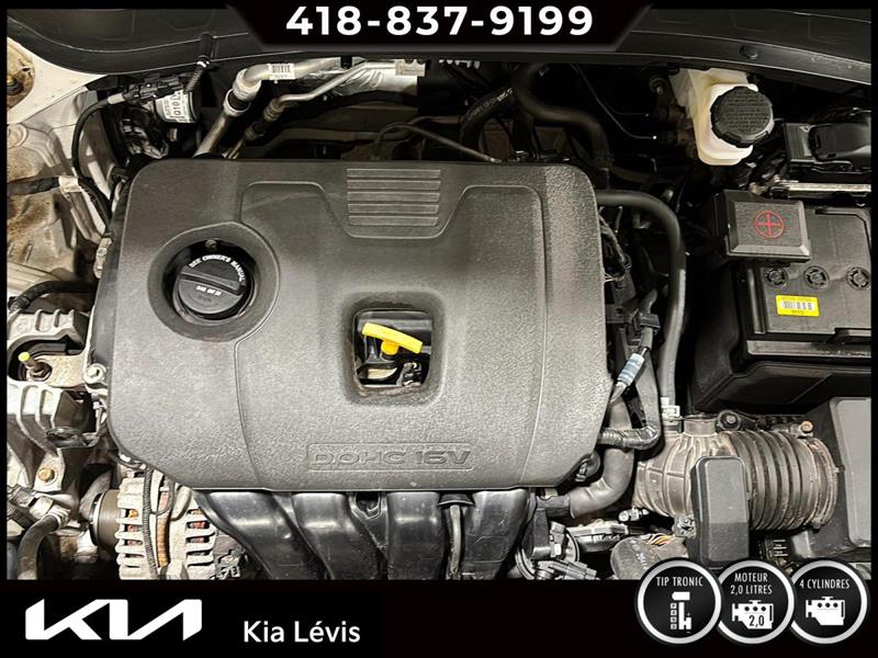 kia Seltos 2023 - 15