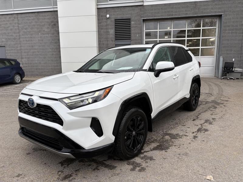 toyota RAV4 2024