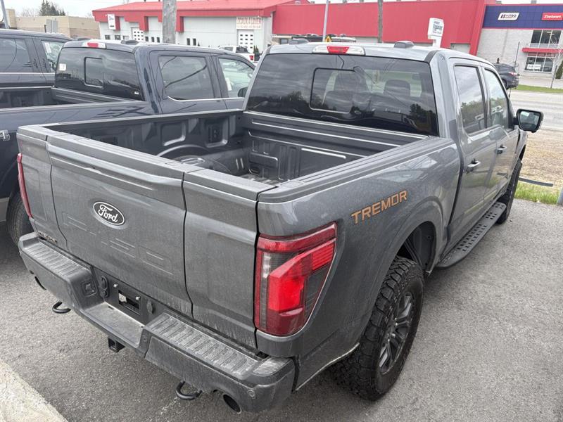 ford F-150 2026 - 4