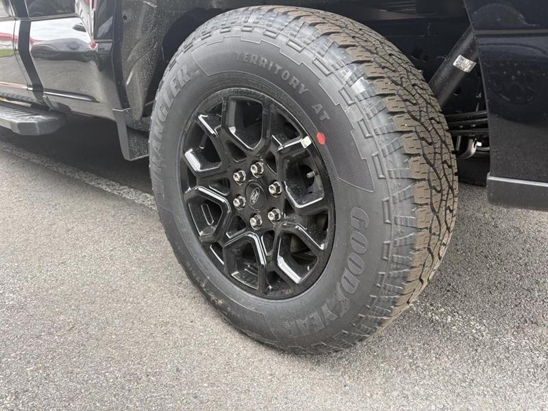 ford F-150 Hybrid 2026 - 5