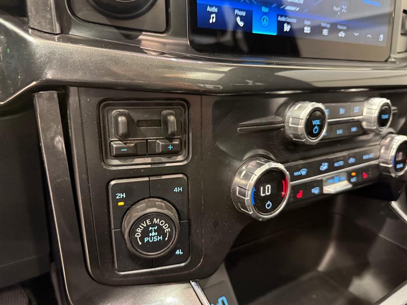 ford F-150 2022 - 19