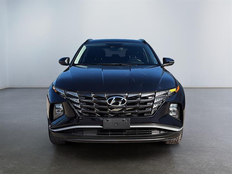 hyundai Tucson 2024 - 2