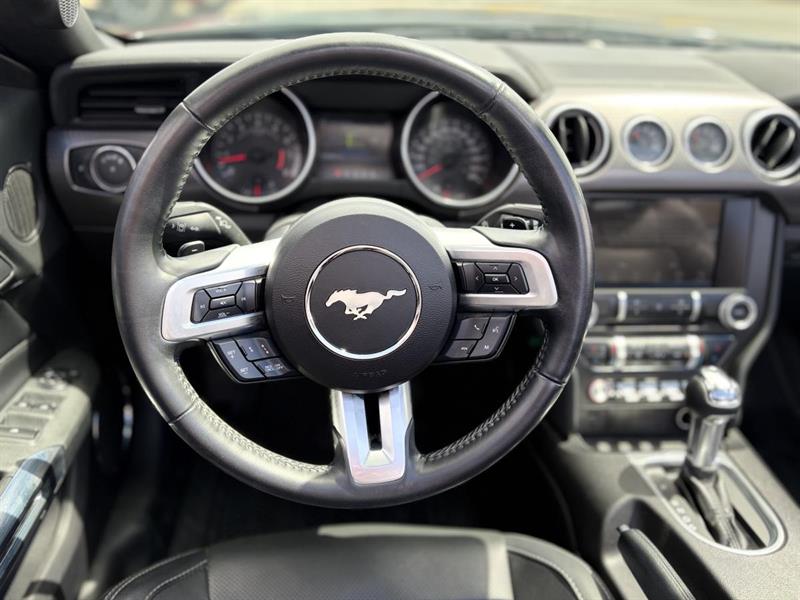 ford Mustang 2019 - 13