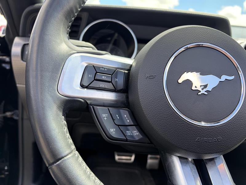 ford Mustang 2019 - 14