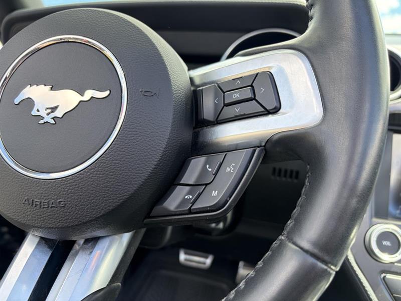 ford Mustang 2019 - 15