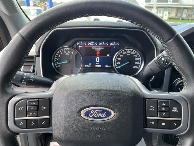 ford F-150 2023 - 12