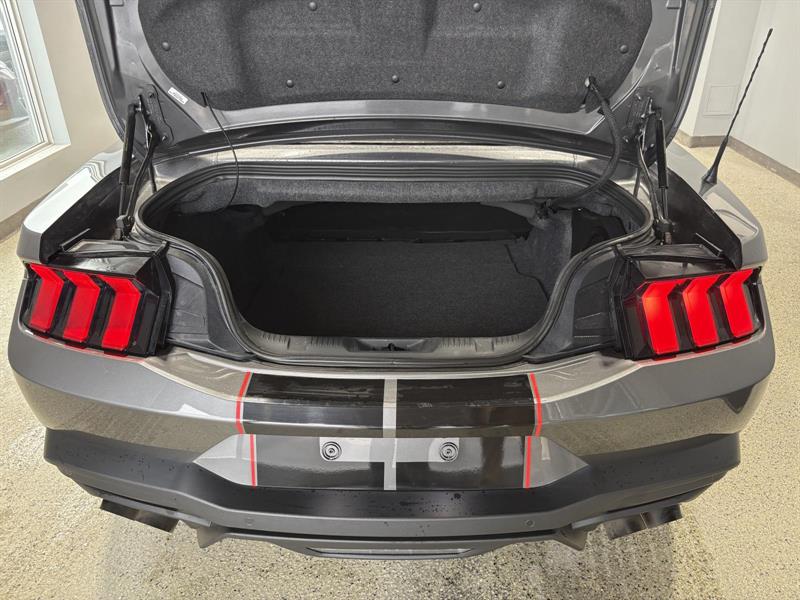 ford Mustang 2024 - 26