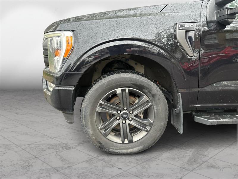ford F-150 2021 - 9