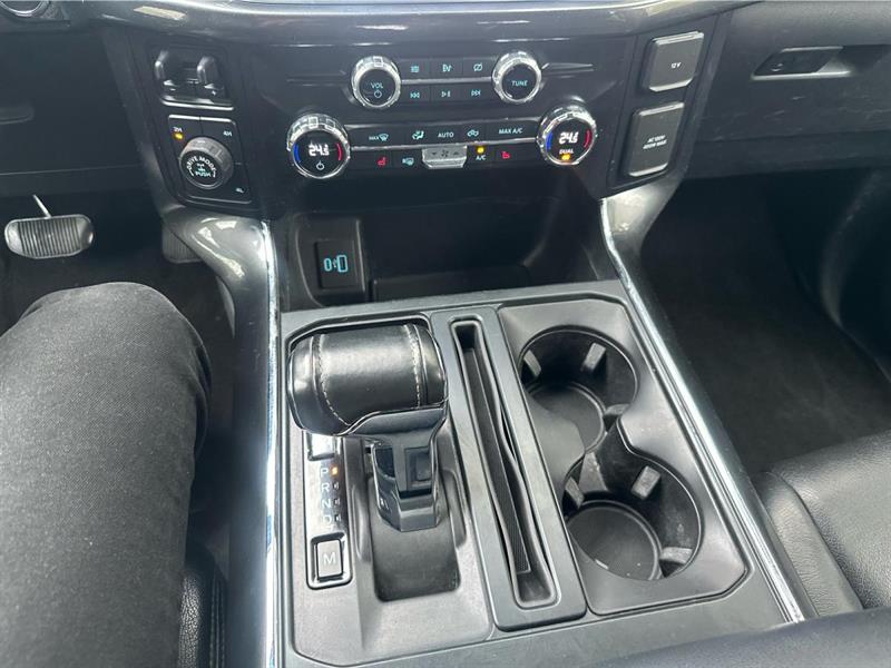 ford F-150 2021 - 14