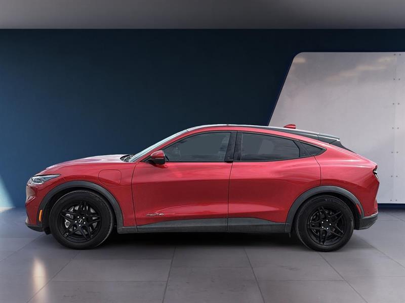 ford Mustang Mach-E 2021 - 2