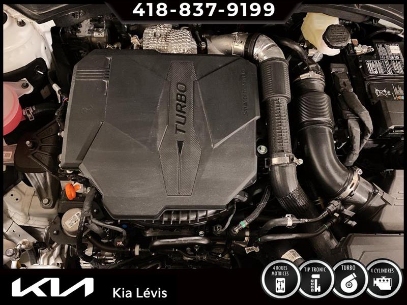kia Sorento 2022 - 14