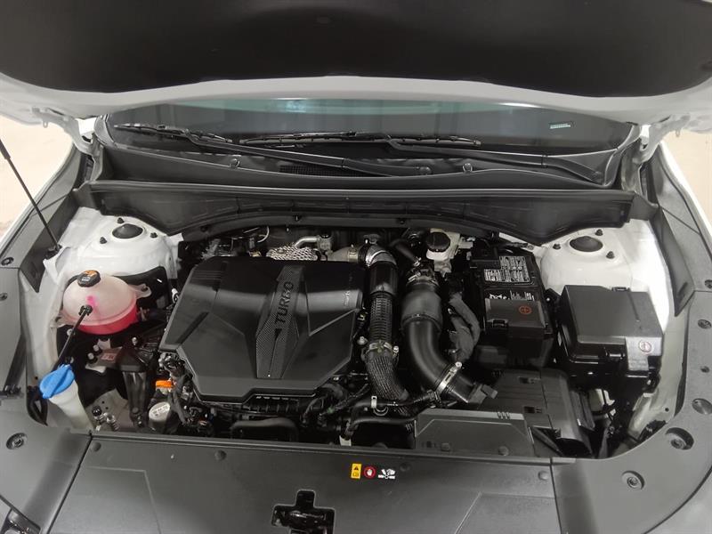 kia Sorento 2025 - 7