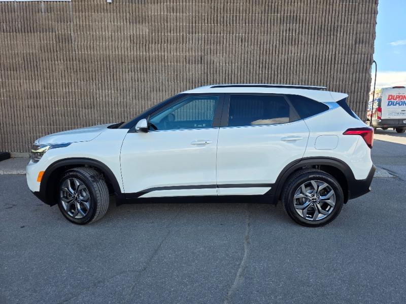 kia Seltos 2024 - 2