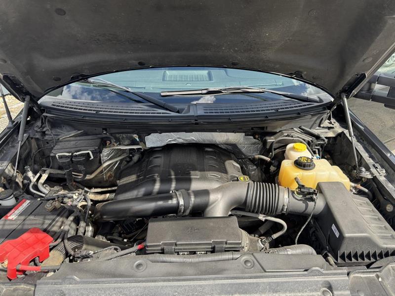 ford F-150 2014 - 31