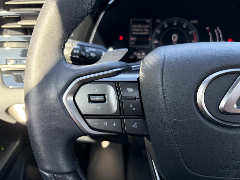lexus RX 2023 - 10