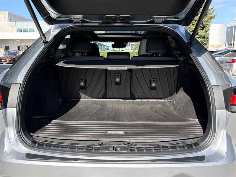 lexus RX 2023 - 24