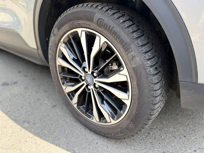 ford Escape 2022 - 3