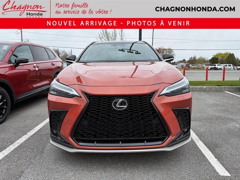 lexus NX 2022 - 2