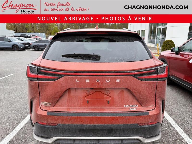 lexus NX 2022 - 5