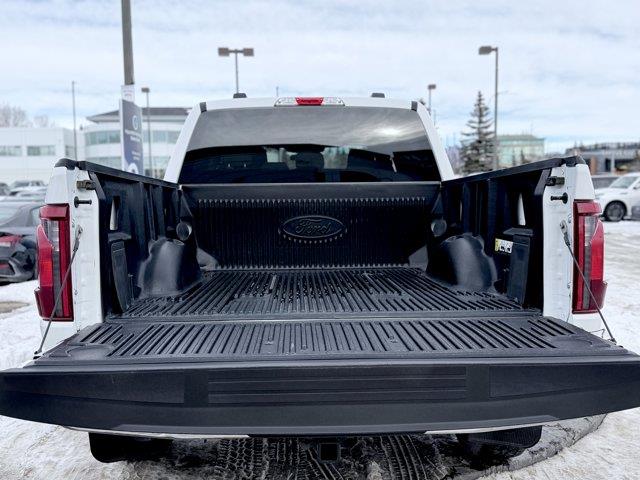 ford F-150 2025 - 6