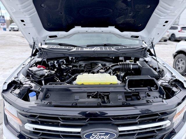 ford F-150 2025 - 11