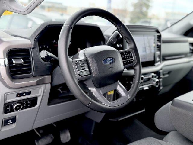 ford F-150 2025 - 13